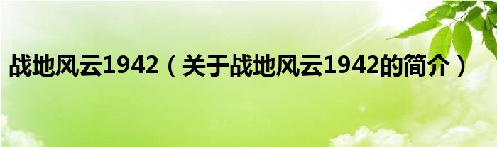 战地风云1942（关于战地风云1942的简介）