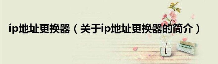 ip地址更换器（关于ip地址更换器的简介）