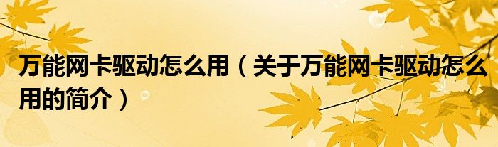 万能网卡驱动怎么用（关于万能网卡驱动怎么用的简介）