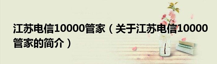江苏电信10000管家（关于江苏电信10000管家的简介）