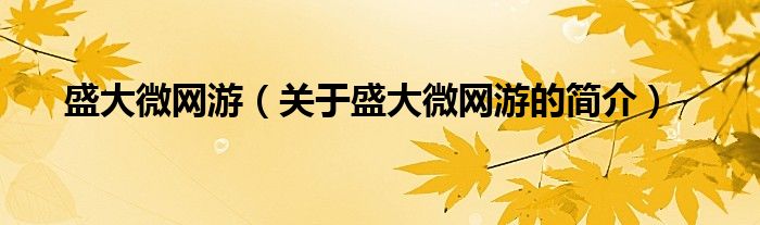 盛大微网游（关于盛大微网游的简介）