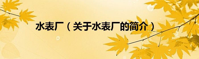 水表厂（关于水表厂的简介）
