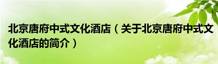 北京唐府中式文化酒店（关于北京唐府中式文化酒店的简介）