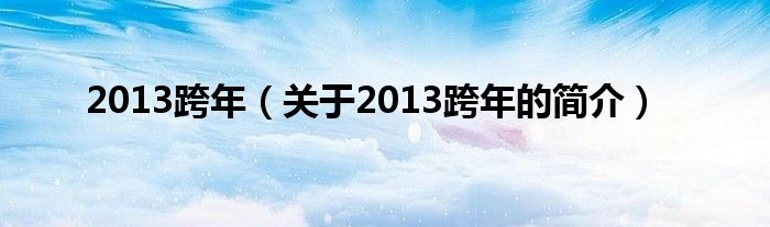 2013跨年（关于2013跨年的简介）