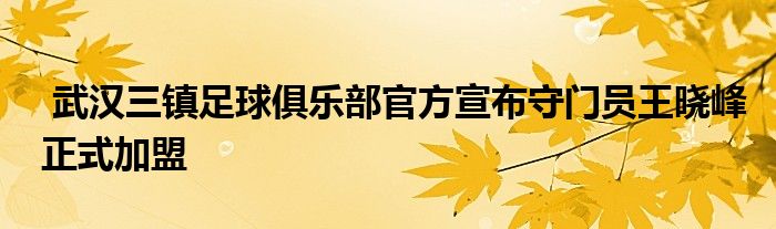  武汉三镇足球俱乐部官方宣布守门员王晓峰正式加盟