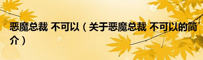 恶魔总裁 不可以（关于恶魔总裁 不可以的简介）