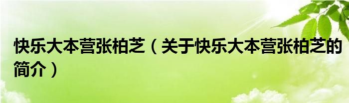 快乐大本营张柏芝（关于快乐大本营张柏芝的简介）