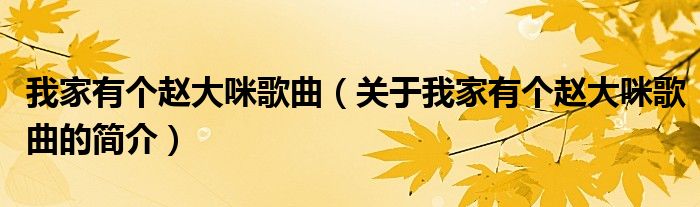 我家有个赵大咪歌曲（关于我家有个赵大咪歌曲的简介）