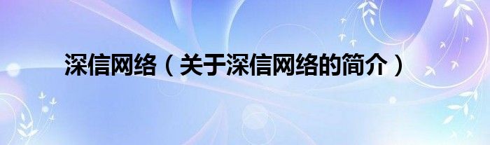 深信网络（关于深信网络的简介）