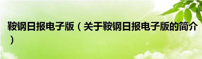 鞍钢日报电子版（关于鞍钢日报电子版的简介）