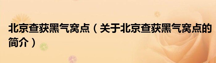 北京查获黑气窝点（关于北京查获黑气窝点的简介）