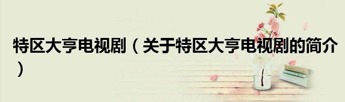 特区大亨电视剧（关于特区大亨电视剧的简介）