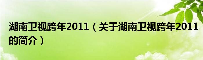 湖南卫视跨年2011（关于湖南卫视跨年2011的简介）