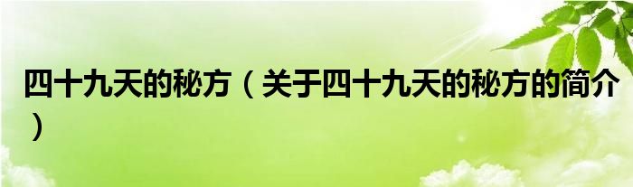 四十九天的秘方（关于四十九天的秘方的简介）