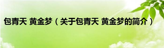 包青天 黄金梦（关于包青天 黄金梦的简介）