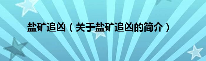 盐矿追凶（关于盐矿追凶的简介）