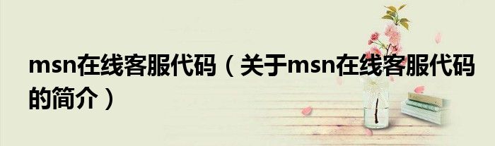 msn在线客服代码（关于msn在线客服代码的简介）