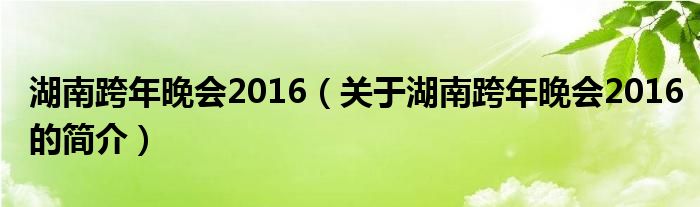 湖南跨年晚会2016（关于湖南跨年晚会2016的简介）