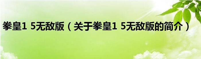 拳皇1 5无敌版（关于拳皇1 5无敌版的简介）