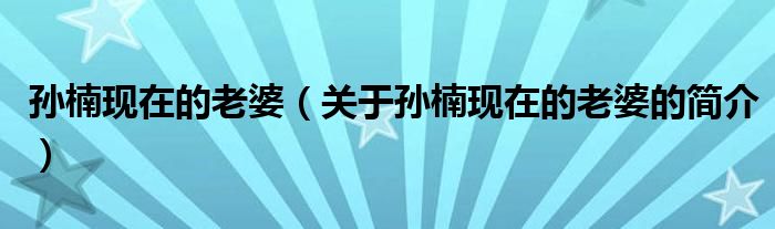 孙楠现在的老婆（关于孙楠现在的老婆的简介）