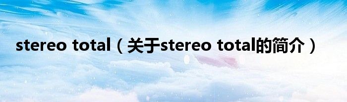 stereo total（关于stereo total的简介）