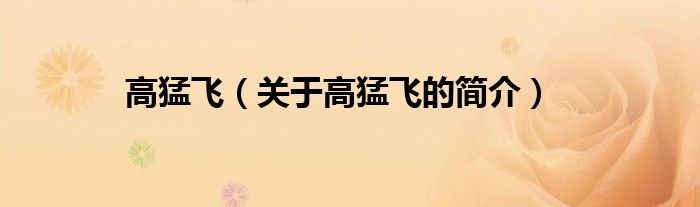 高猛飞（关于高猛飞的简介）