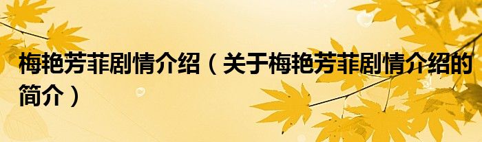 梅艳芳菲剧情介绍（关于梅艳芳菲剧情介绍的简介）