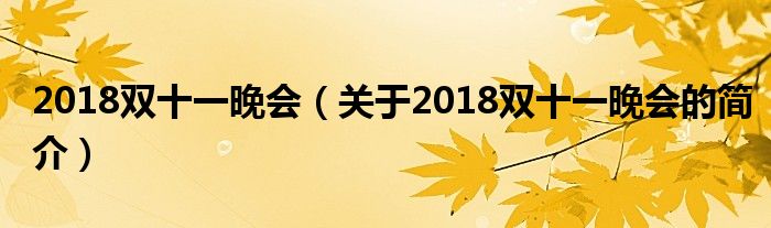 2018双十一晚会（关于2018双十一晚会的简介）