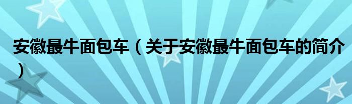 安徽最牛面包车（关于安徽最牛面包车的简介）