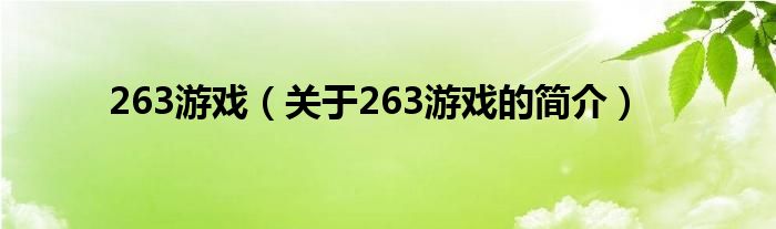 263游戏（关于263游戏的简介）