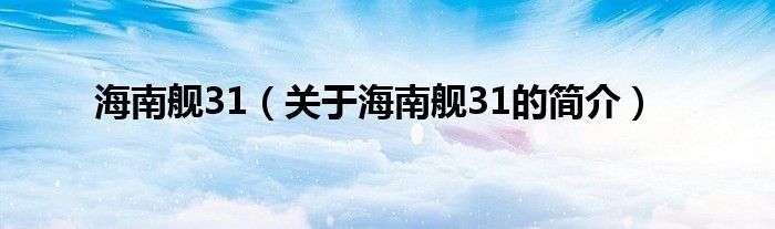 海南舰31（关于海南舰31的简介）