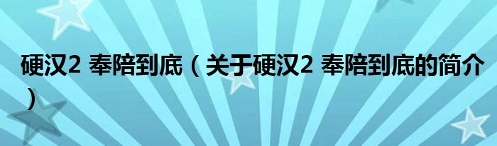 硬汉2 奉陪到底（关于硬汉2 奉陪到底的简介）