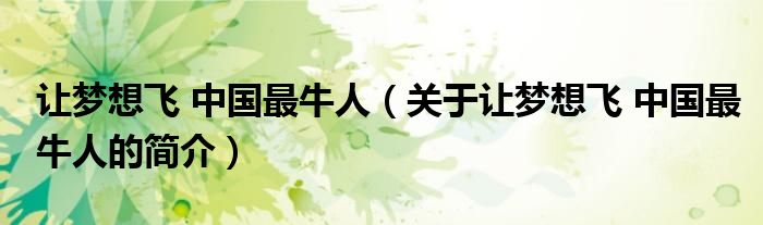 让梦想飞 中国最牛人（关于让梦想飞 中国最牛人的简介）