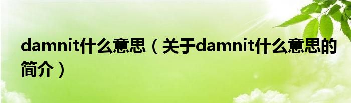 damnit什么意思（关于damnit什么意思的简介）