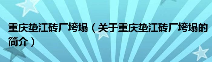 重庆垫江砖厂垮塌（关于重庆垫江砖厂垮塌的简介）