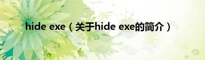 hide exe（关于hide exe的简介）