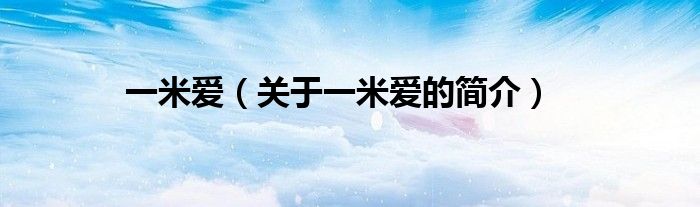 一米爱（关于一米爱的简介）