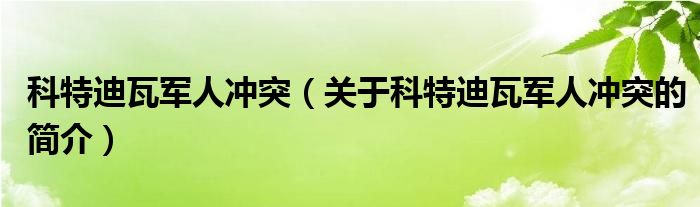 科特迪瓦军人冲突（关于科特迪瓦军人冲突的简介）