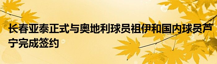 长春亚泰正式与奥地利球员祖伊和国内球员芦宁完成签约