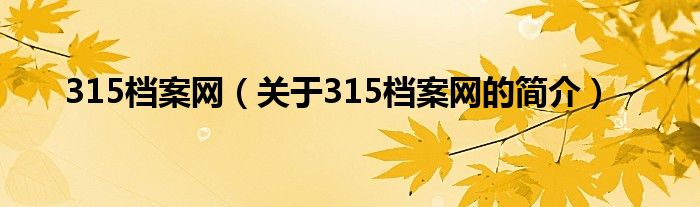 315档案网（关于315档案网的简介）