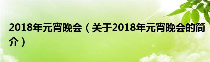 2018年元宵晚会（关于2018年元宵晚会的简介）