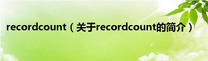 recordcount（关于recordcount的简介）