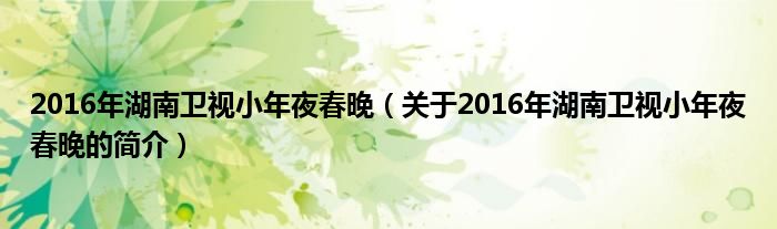 2016年湖南卫视小年夜春晚（关于2016年湖南卫视小年夜春晚的简介）