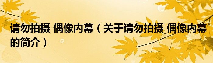 请勿拍摄 偶像内幕（关于请勿拍摄 偶像内幕的简介）