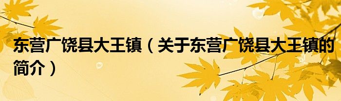 东营广饶县大王镇（关于东营广饶县大王镇的简介）