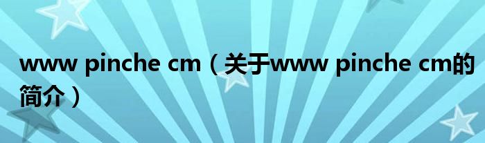 www pinche cm（关于www pinche cm的简介）