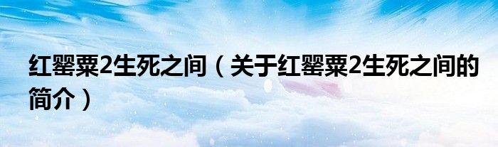 红罂粟2生死之间（关于红罂粟2生死之间的简介）