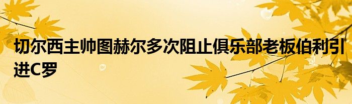 切尔西主帅图赫尔多次阻止俱乐部老板伯利引进C罗