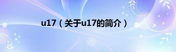 u17（关于u17的简介）