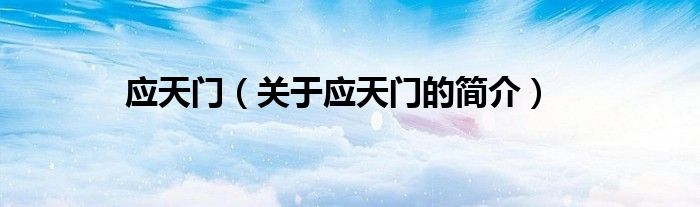 应天门（关于应天门的简介）